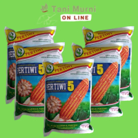 Q&J2 Benih Jagung Hybrida F1 PERTIWI 5 Tahan Bulai 1kg PROMOBM195
