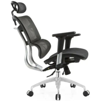 Ergonomic Chair Company Mesh Lumbar Support Mesh Ergonomic Office Chair for Workstation and Manager
