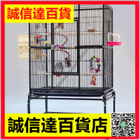 粵迪 新款方型鐵藝群鳥籠 虎皮牡丹鸚鵡籠鳥籠灰鸚鵡繁殖籠A421