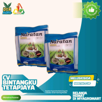 melukisida naratan 65 wp 100 gram