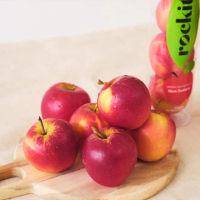 【FruitGo 馥果】紐西蘭Rockit樂淇蘋果-2顆裝 76g±10%x48管/箱_每管2顆(48管進口原箱_櫻桃蘋果)
