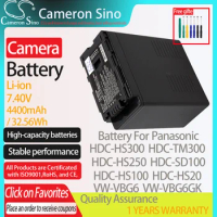 CameronSino Battery for Panasonic HDC-HS300 HDC-TM300 HDC-HS250 HDC-SD100 fits Panasonic VW-VBG6 Digital camera Batteries 7.40V