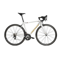 【MERIDA 美利達】斯特拉SCULTURA KING 全能型入門跑車(無附腳架/C夾/碳纖前叉/入門/彎把/公路車/單車)