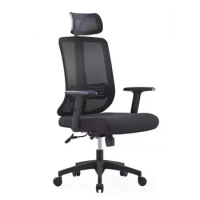 Ergonomic Backrest Computer Chair Mesh Student Armchair Lumbar Support Office Chair Boss Home Cadeira Para Office Furniture