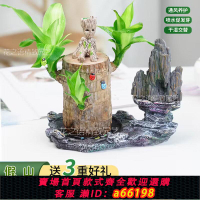 【台灣公司 可開發票】巴西木可開花水養幸運木格魯特小樹人辦公室家庭店鋪桌面好養盆栽