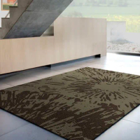 范登伯格 璀璨四季 時尚長毛地毯(放射灰)-160x230cm