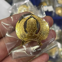 Pin Pemasyarakatan kuningan magnet terbaru