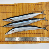 《大來食品》肥美秋刀魚 (1尾、3尾/包) 新鮮 鮮魚 烤秋刀魚 烤肉