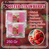 Pupuk Organik Booster Strawberry Pelebat Cepat Berbuah