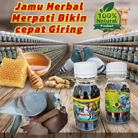 JAMU JUARA GIRING MERPATI ISI 300 BUTIR pil cepat giring Keket keras ginseng teki pil edan alus extr