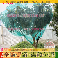 防鳥網~果樹專用防鳥網罩櫻桃網家庭防鳥用的網果園尼龍網防護罩葡萄琵琶
