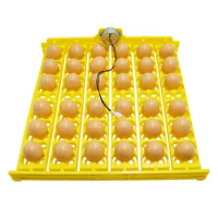 Egg Incubator Automatic Hatching Chicken Egg Turner Small 36 Egg Hatcher Egg Tray 156 Bird Egg Tray With Electricity