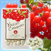大賀屋 日本製 共立食品 優格葡萄乾 優格蔓越莓 葡萄乾巧克力 蔓越莓乾巧克力 白巧克力 日本零食 J00052022