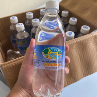 Nước Khoáng Mặn Quang Hanh Có Ga 1 chai suối
