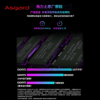 阿斯加特女武神二代 32g(16gx2) ddr5 8000臺式機記憶體內存條