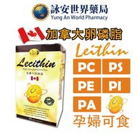 康心 加拿大卵磷脂 LECITHIN 軟膠囊 60粒/盒  【詠安世界商城】