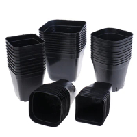 10pc Black Flower Pots Plastic Pots Small Square Pots for Succulent plants