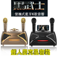 【SDRD】貓頭鷹 雙人麥克風音箱(ST2025)