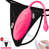Wireless Remote Control Vibrating Jumping Egg Vagina Ball USB Wearable Vibrators Clitoris Stimulator Panties Sex Toys for Woman