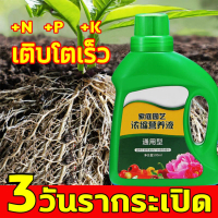 Super concentrated, 1 bottle equals 10 bottles. Stronger plants, B1 rooting solution, 500ml rooting 