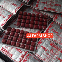 Cacing beku kapsul bloodworm merah segar jamin bagus kualitas KHUSUS INSTAN / SAMEDAY SAJA cacing be