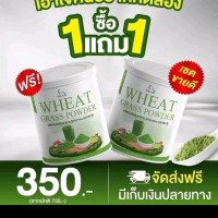 (1แถม1 )Wheat grass วีทกราสคลอโรฟิลล์(50)