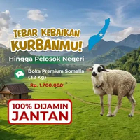 Kurban Qurban Kambing Unta Somalia - Dompet Dhuafa Doka Premium
