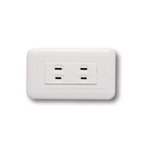【中一電工 JYE】5入組 PANDA 熊貓系列 夜光壁切(雙插座組 JY-1502W)