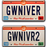 Onward | Guinevere Van | Metal Stamped License Plates -License Plate License Plate Frames Car Decor License Plate