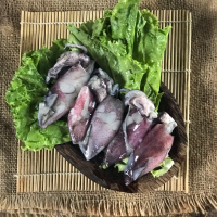 Cumi Segar 250gram - Cumi Hitam