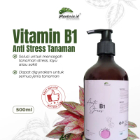 Vitamin B1 Anti Stress 500 mL – Perangsang Akar & Pemulih Tanaman Setelah Pindah Tanam Planteria.id
