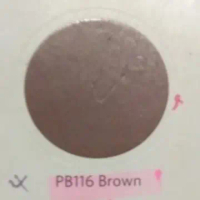 Pylox basics PB116 brown cat spray hitam Nippon Paint semprot pilok