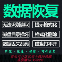 {台灣公司貨 可打統編}電腦移動硬盤數據恢復文件固態U盤維修SD卡照片遠程損壞修復服務