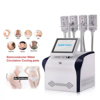 Portable Ems Body Slimming Cryolipolysis Machine Latest Cryo Plate Cool Body Sculpting Fat Freeze Salon Massager Device