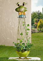花園青蛙爬藤架鐵藝花架置物架植物攀爬支架做舊鐵藝園藝裝飾擺件