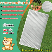 ถาดเพาะกล้านาโยน (แบบหนา) 434 หลุม50 ชิ้น100 ชิ้น ถาดกล้านาโยน ใช้เพาะเมล็ดข้าว คําแนะนําผลิตภัณฑ์ให