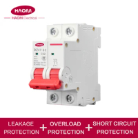 HAOM Circuit Breaker 2P Air Switch Circuit Protector DC MCB Mini Office Mansion Breaker 6A 10A 16A 20A 25A 32A Electrical Switch