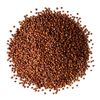 Hạt diêm mạch đỏ Red Quinoa 500g