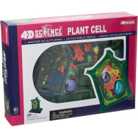 4D-Science Plant Cell Anatomy Model