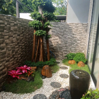 taman bonsai halaman rumah