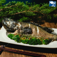【阿家海鮮】鮮凍活體龍虎石斑魚500g±10%/尾(已三去)