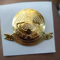 pin dishub