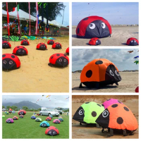 free shipping ladybird kite soft kites for kids can walk not flying ripstop nylon outdoor game toys ripstop nylon fabric koi