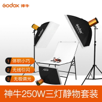 免運 神牛250W三燈+靜物套裝攝影棚影視室內閃光燈柔光箱人像拍照服裝補光拍攝器材