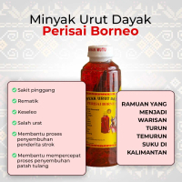 Minyak Urut Perisai Borneo Minyak Urut Dayak Kalimantan