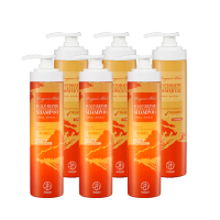【Jenduoste 珍朵絲特】龍血求麗洗髮精500mlx3+龍血求麗修護沐浴乳500mlx3(洗沐修護六件組)