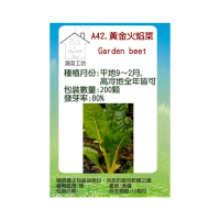【蔬菜工坊】A42.黃金火焰菜種子(黃金菾菜、君達菜、甜菜)