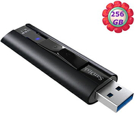 SanDisk 256GB 256G Extreme PRO 420MB/s【SDCZ880-256G】SD CZ880 USB 3.2 隨身碟【序號MOM100 現折$100】