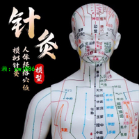 針灸人體模型穴位人體經絡模型中醫男女按摩全身銅人十二扎針小皮