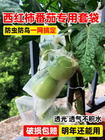 西紅柿套袋專用袋番茄圣女果尼龍網袋保護袋洋柿子果蔬防蟲防鳥袋